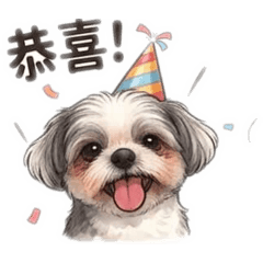 寶寶寶寶寶寶包寶貝