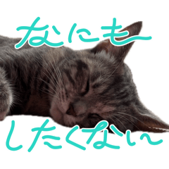 Naachan_20260420060244