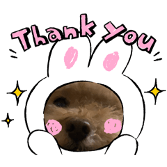 把自己當公主的狗