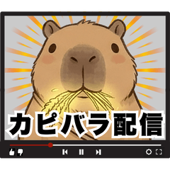 Capybara Stream with 1 Viewer: Vol. 2