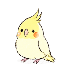 Cute Cockatiel Stickers Daily