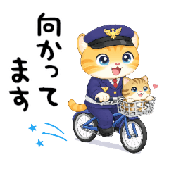 Security Cat: Basic Greetings