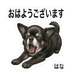 Daily Hello Reaction Pack Vol.1