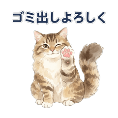 Daily Cat Stickers for Family Chat