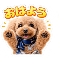 pafoKEN5_20260419134807