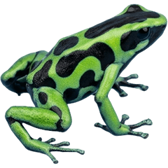 斑箭蛙真人版