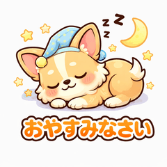 Cute & Fluffy Chihuahua Daily Life