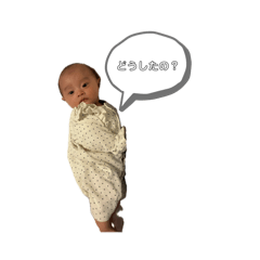 hariko_20260419001833