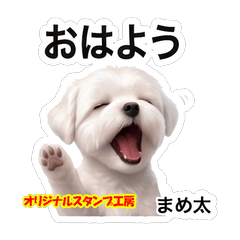 MameTa Relaxed Daily Stickers Vol.1