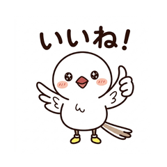 Japanese Long-tailed Tit_03