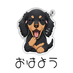 Cute Dachshund (Black & Tan)