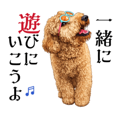 sheril mama_20260419141722