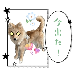 asaka_20260419151133