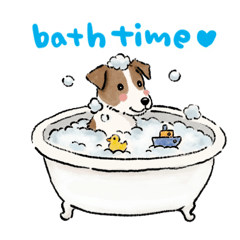 ten room_20260419162828