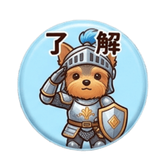 Yorkie is acting like a knight.