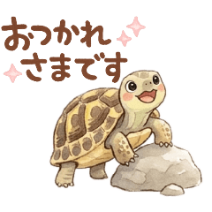 Tortoise_rejinohito_20260419133818