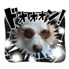 Latte_20260420083747