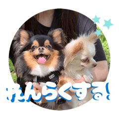 misoochi_20260420090401