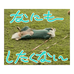 NakamuraRudo_20260420104216