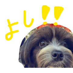 JUNGLE_20260415182029