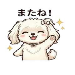 Adorable Maltese stickers