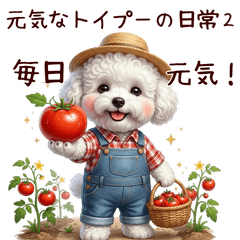 Energetic Toy Poodle Sticker 2