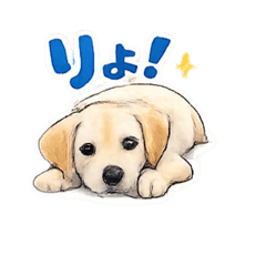 kazuki_20260419200230