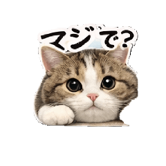 tukky_20260419200803
