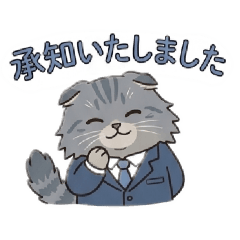 momo_20260419201430