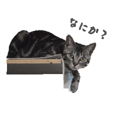 pip_20260419214032