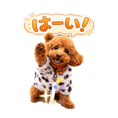 NAO_20260420104020