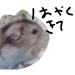 HamHam_20260420114405