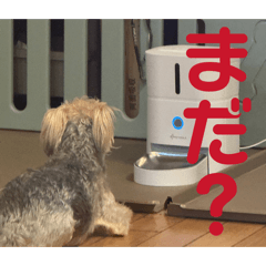 Kiara_20260420105336