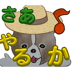 setsu_20260420115514