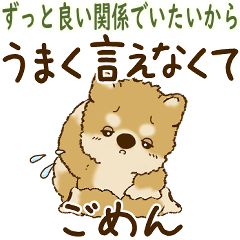 Shiba-inu 2026 (Stay friends forever)