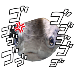 yk_20260419234049