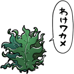 talking wakame