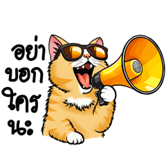 Cat cat love love love