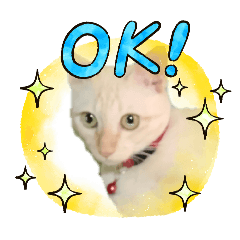 Srinuan Shop_20260419194207