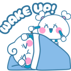 Toy & Bay Daily Moment