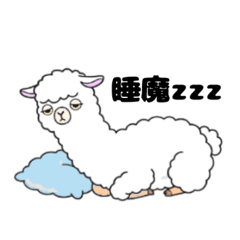 office worker alpaca