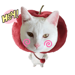 ouninkubb_20260419195922