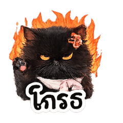 SUMITTRA NT_20260419210824