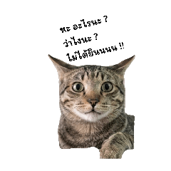 Maheng&Maruay_20260419223824