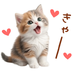 Fluffy Cat.3 Calico Cat