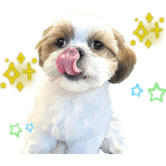 kamoe_20260420130657