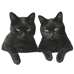 nanatohachi_20260420135528