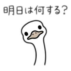 普通的鴕鳥（實用性：高）