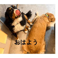 Study_20260420143910