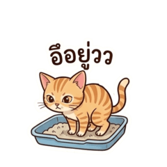 Natthaporn_20260420061018